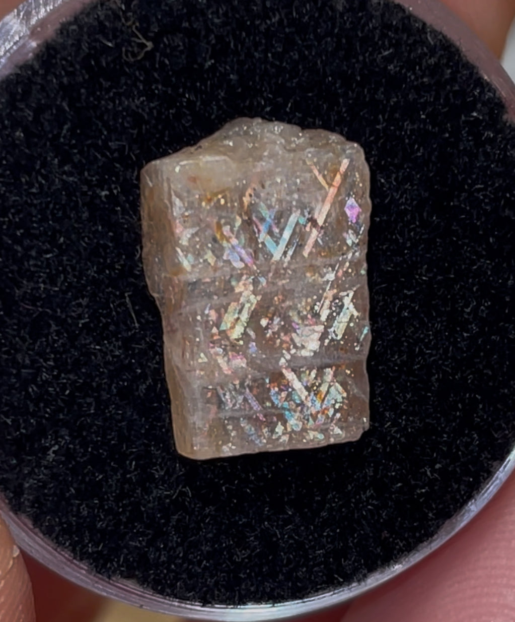 13mm 3.94ct Australian Rainbow Lattice Sunstone Polished Face
